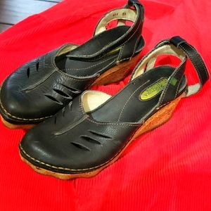 El Naturalista Cork Oak Wedge